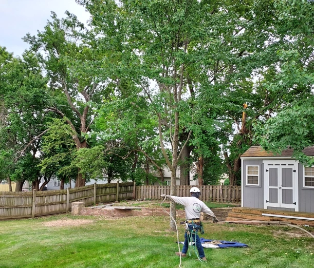 About Gilbert's Stump Grinding & Landscaping 1