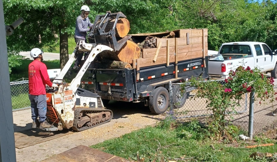 Cleanup & Hauling Services Cleanup & Hauling Services