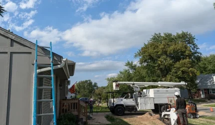 Emergency Tree Services