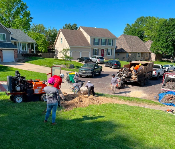 Gilbert's Stump Grinding & Landscaping 1