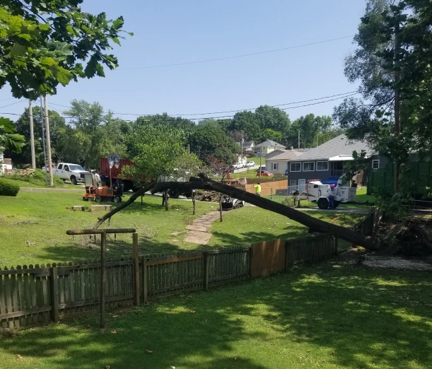 Gilbert's Stump Grinding & Landscaping 2