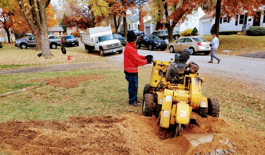 Stump Grinding & Removal