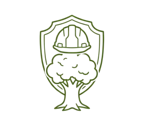 icon2